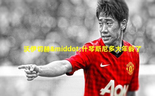 沃伊切赫·什琴斯尼多大年龄了