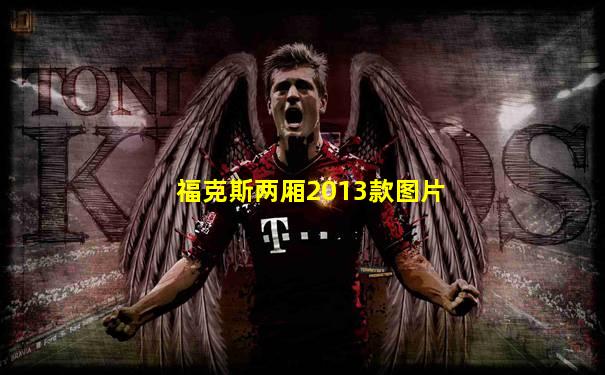 福克斯两厢2013款图片