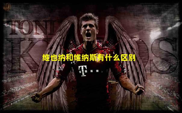 维也纳和维纳斯有什么区别