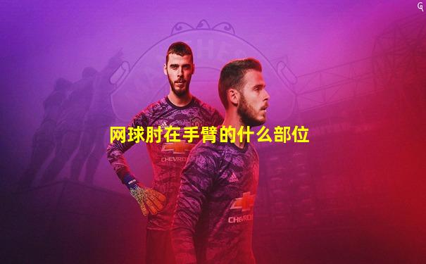 网球肘在手臂的什么部位