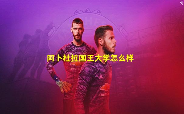 阿卜杜拉国王大学怎么样