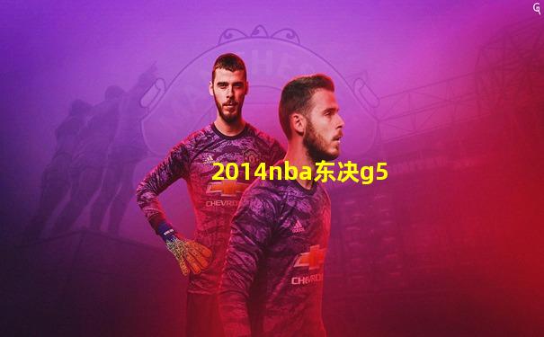 2014nba东决g5