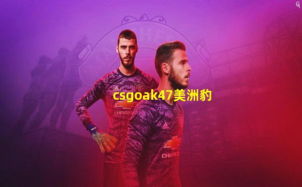 csgoak47美洲豹