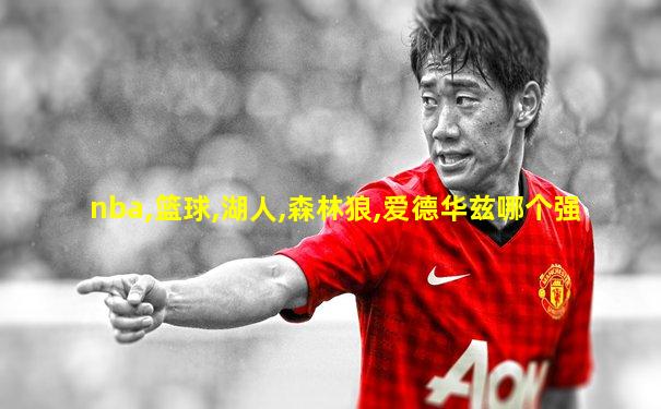 nba,篮球,湖人,森林狼,爱德华兹哪个强