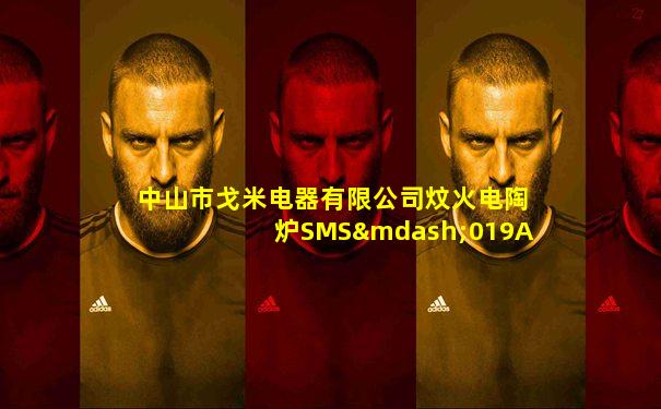 中山市戈米电器有限公司炆火电陶炉SMS—019A