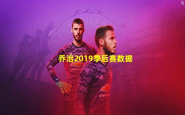 乔治2019季后赛数据