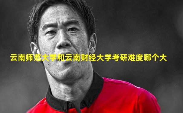 云南师范大学和云南财经大学考研难度哪个大
