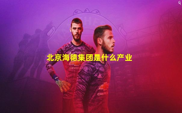 北京海德集团是什么产业
