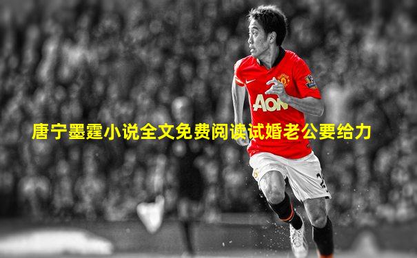 唐宁墨霆小说全文免费阅读试婚老公要给力