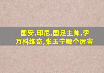 国安,印尼,国足主帅,伊万科维奇,张玉宁哪个厉害