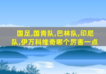 国足,国青队,巴林队,印尼队,伊万科维奇哪个厉害一点