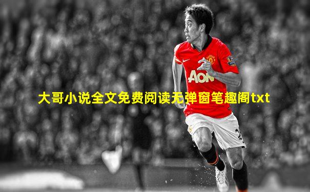 大哥小说全文免费阅读无弹窗笔趣阁txt