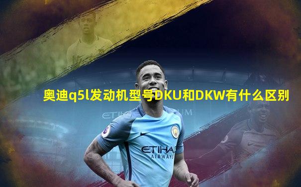 奥迪q5l发动机型号DKU和DKW有什么区别
