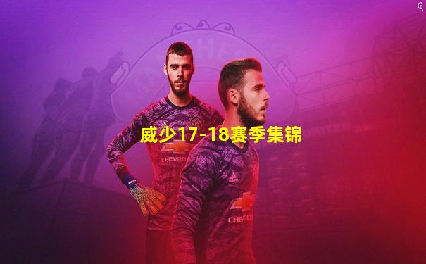 威少17-18赛季集锦