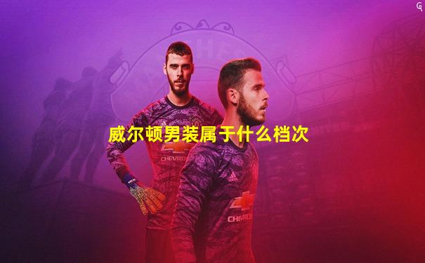 威尔顿男装属于什么档次