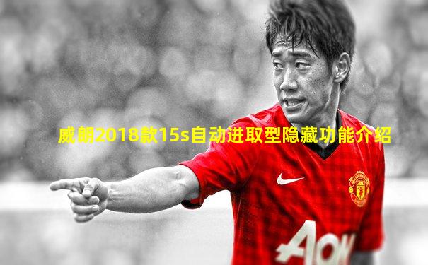 威朗2018款15s自动进取型隐藏功能介绍