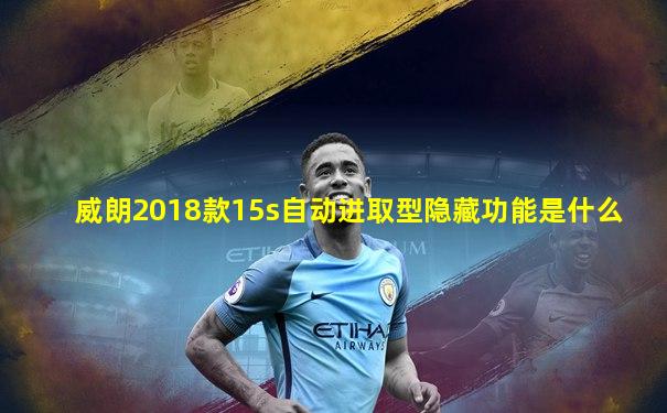 威朗2018款15s自动进取型隐藏功能是什么