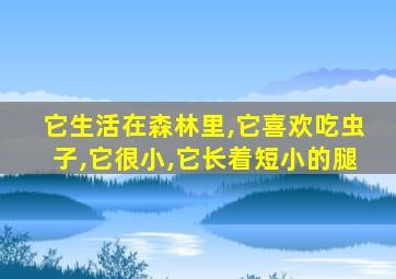 它生活在森林里,它喜欢吃虫子,它很小,它长着短小的腿