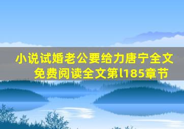 小说试婚老公要给力唐宁全文免费阅读全文第l185章节