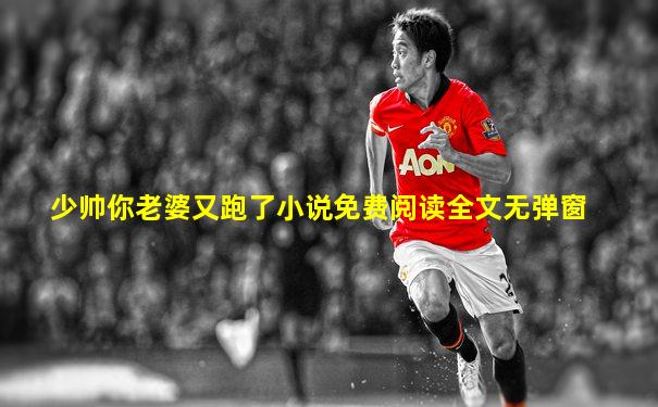 少帅你老婆又跑了小说免费阅读全文无弹窗