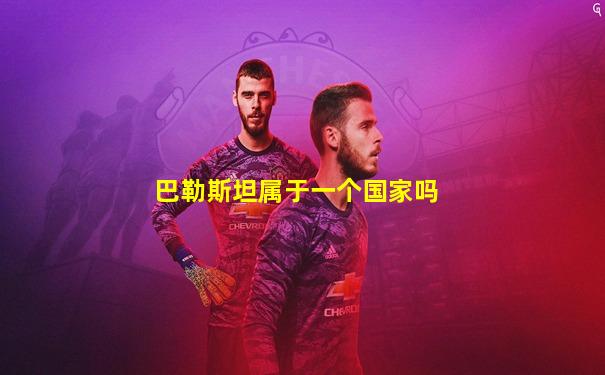 巴勒斯坦属于一个国家吗