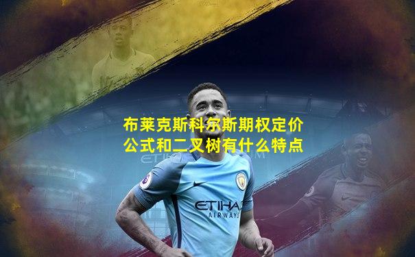 布莱克斯科尔斯期权定价公式和二叉树有什么特点