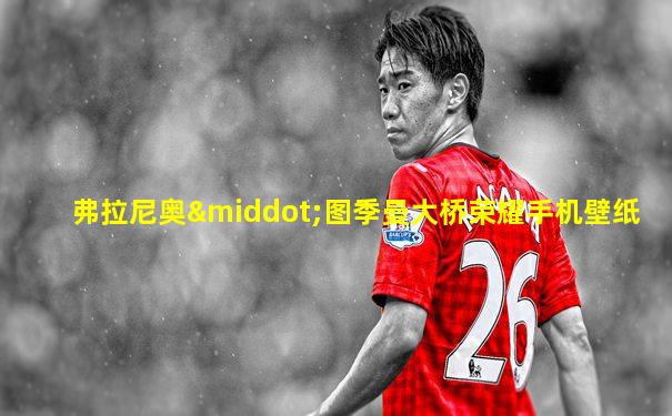 弗拉尼奥·图季曼大桥荣耀手机壁纸