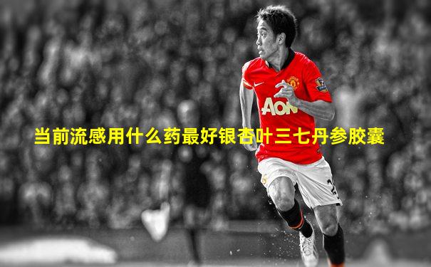 当前流感用什么药最好银杏叶三七丹参胶囊