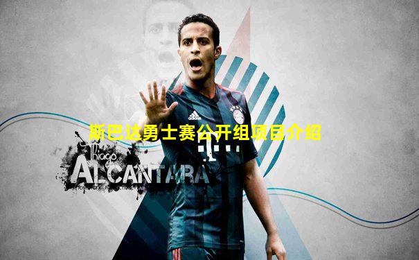 斯巴达勇士赛公开组项目介绍