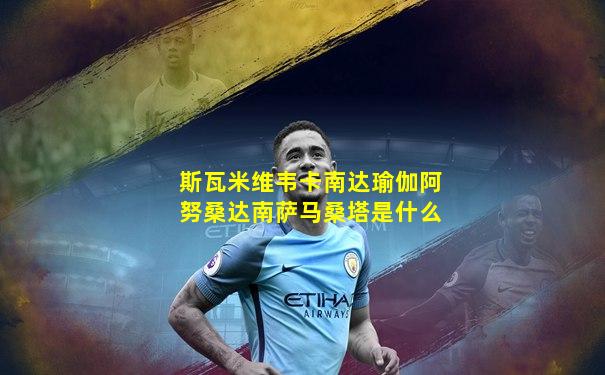 斯瓦米维韦卡南达瑜伽阿努桑达南萨马桑塔是什么