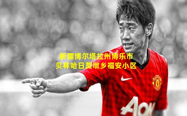 新疆博尔塔拉州博乐市贝林哈日莫墩乡福安小区