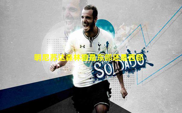 明尼苏达森林狼是东部还是西部