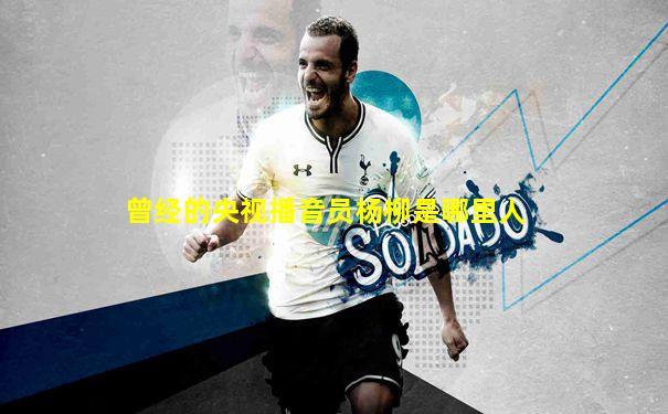 曾经的央视播音员杨柳是哪里人