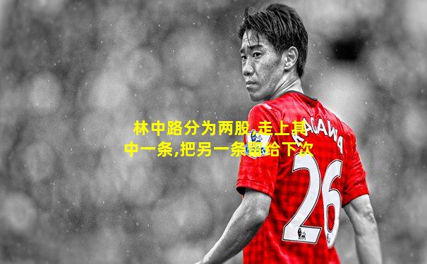 林中路分为两股,走上其中一条,把另一条留给下次