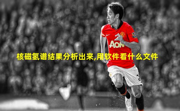 核磁氢谱结果分析出来,用软件看什么文件