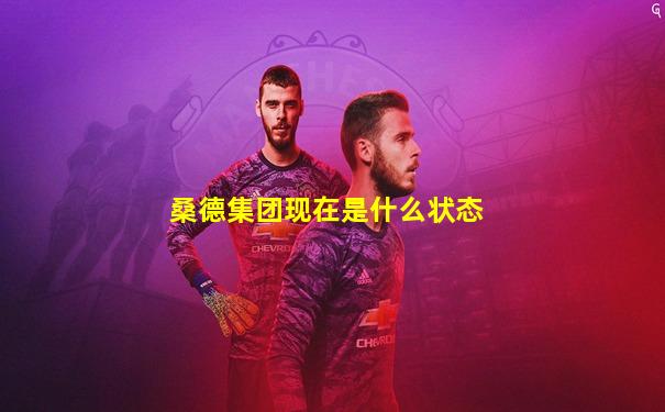 桑德集团现在是什么状态
