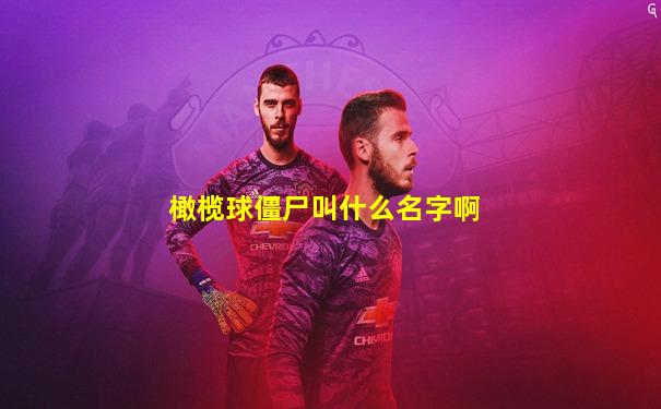 橄榄球僵尸叫什么名字啊