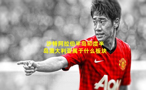 沙特阿拉伯半岛印度半岛澳大利亚属于什么板块