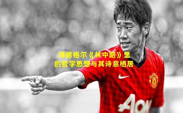 海德格尔《林中路》里的哲学思想与其诗意栖居