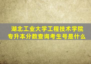 湖北工业大学工程技术学院专升本分数查询考生号是什么