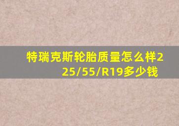特瑞克斯轮胎质量怎么样225/55/R19多少钱