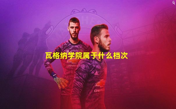 瓦格纳学院属于什么档次