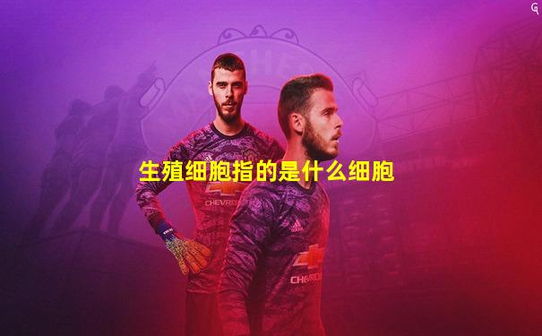 生殖细胞指的是什么细胞