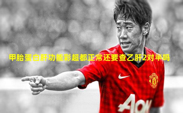 甲胎蛋白肝功能彩超都正常还要查乙肝2对半吗