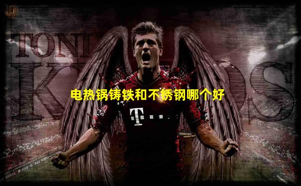 电热锅铸铁和不锈钢哪个好