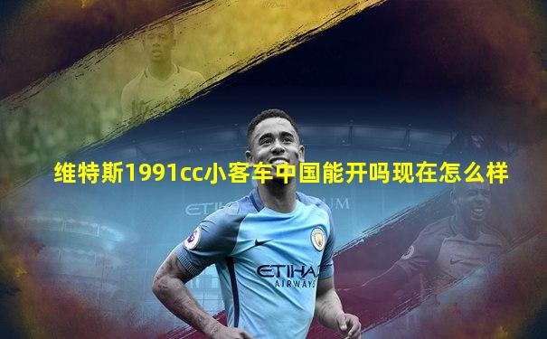 维特斯1991cc小客车中国能开吗现在怎么样