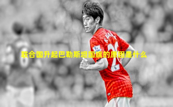 联合国升起巴勒斯坦国旗的原因是什么