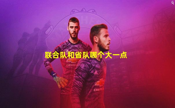 联合队和省队哪个大一点