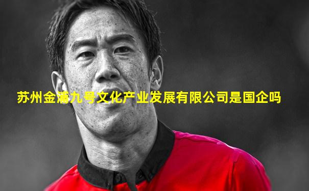 苏州金浦九号文化产业发展有限公司是国企吗