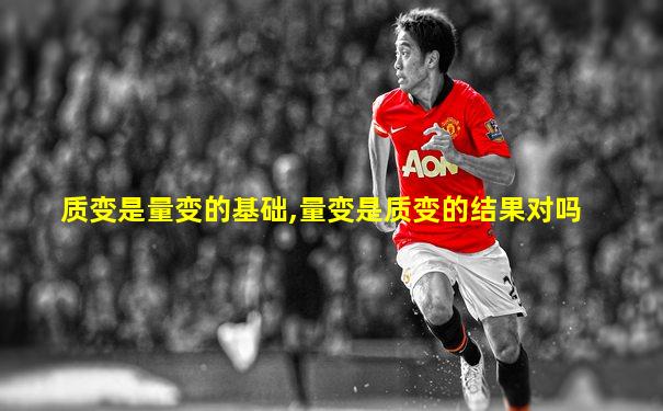 质变是量变的基础,量变是质变的结果对吗
